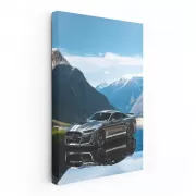 Mustang S550 Adventure in Mountains - Bold and Free