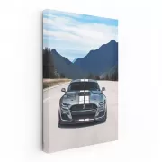 Mustang S550 Conquers Mountain Roads - Pure Power and Freedom