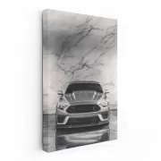 Silver Mustang Marble - Iconic Elegance in Motion