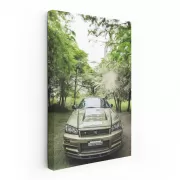 Nissan Skyline GT-R R34 in Nature - Iconic Performance Beast