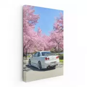 Nissan Skyline GT-R R34 Sakura - Iconic Performance Beauty