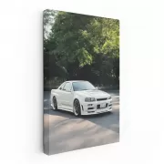 White Nissan Skyline GT-R R34 Parked - Legendary Icon