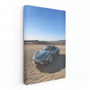 Porsche 718 Spyder RS Roaming Desert - Pure Adrenaline