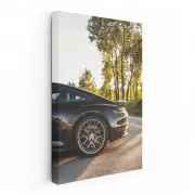 Black Porsche 911 Carrera S in Nature - Pure Driving Thrill