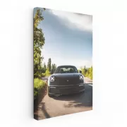 Sleek Black Porsche 911 Carrera S in Nature - Speed & Elegance