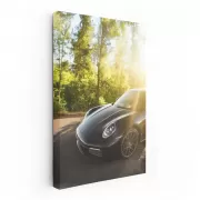 Black Porsche 911 Carrera S in Nature - Elegance in Motion