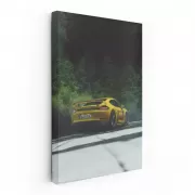 Porsche 911 GT3 RS in Nature - Speed Meets Elegance