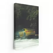 Porsche 911 GT3 RS in Nature - Performance Meets Precision