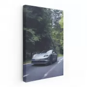 Black Porsche 911 Speedster in Nature - Sleek and Powerful