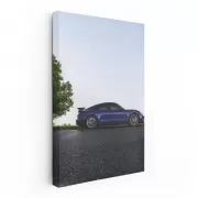 Black Porsche 911 Speedster in Nature - Elegance and Power