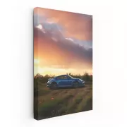 Porsche 911 Embracing Nature at Sunset - Icon of Performance