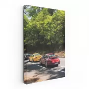 Porsche Car Gathering in Nature - Performance and Elegance