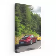 Porsche Car Gathering in Scenic Nature - Speed Meets Elegance