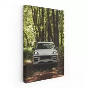 Porsche Cayenne S in Wilderness - Adventure Awaits