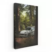 Porsche Cayenne S in Woodland - Adventurous Spirit