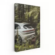 Porsche Cayenne S in Lush Forest - Sleek and Powerful SUV