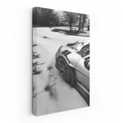 Porsche GT3 RS Black & White - Racing Elegance