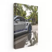 Porsche GT3 RS by Palm Trees - Ultimate Sports Machine