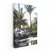 Porsche GT3 RS by Palms - Track Beast Unleashed