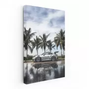 Porsche GT3 RS by Palm Trees - Speed and Elegance