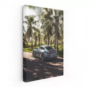 Porsche in Gemini Blue Metallic Under Palm Trees - Iconic Style