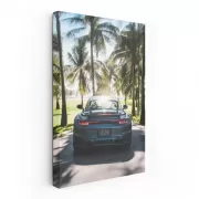 Porsche Gemini Blue Metallic Under Palms - Sleek & Stylish