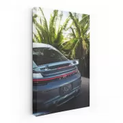 Porsche in Gemini Blue Metallic Under Palms - Timeless Elegance