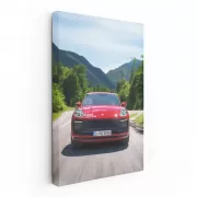 Porsche Macan GTS in Nature - Dynamic Elegance in Motion