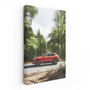 Porsche Macan S in Woods - Elegance Meets Adventure