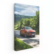 Porsche Macan S in Woodland - Adventure Awaits