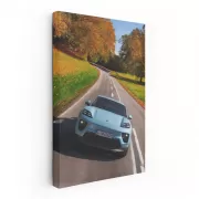 Blue Porsche Macan in Nature - Stylish Adventure SUV