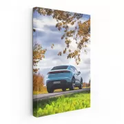 Porsche Macan in Blue Amidst Nature - Dynamic Elegance