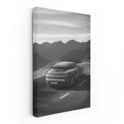 Porsche Monochrome Elegance - Classic Style in Motion