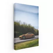 Porsche Panamera Turbo E-Hybrid: Power and Elegance on Road