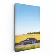 Porsche Panamera in Scenic Field - Elegance Unleashed