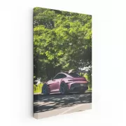 Porsche 992 GT3 RS in Shimmering Rose - Parked Marvel