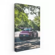 Porsche 992 GT3 RS Shimmering Rose in Park - Ultimate Thrill