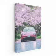 Porsche Taycan 4S Sakura - Performance with Elegance