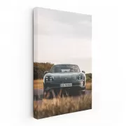 Porsche Taycan RWD in Field: Elegance Meets Performance