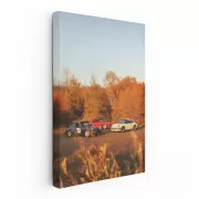 Vintage Porsche in Autumn Forest - Timeless Elegance