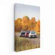 Classic Porsche Cars Amidst Autumn Foliage - Timeless Elegance