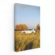 Vintage Porsche Classics Amidst Autumn Leaves - Timeless Elegance