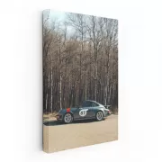 Vintage Porsche 911 in Forest - Timeless Elegance on Wheels