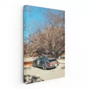 Classic Porsche 911 in Forest - Timeless Sport Elegance