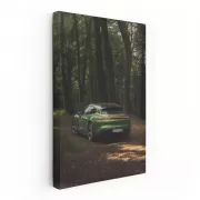 Taycan 4S Cross Turismo in Mamba Green - Speed and Elegance