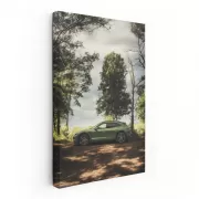 Mamba Green Taycan 4S Cross Turismo: Electrifying Elegance