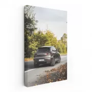 Porsche Macan S in Nature - Unleash Adventurer Within