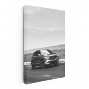 Monochrome Acura - Sleek Design, Ultimate Performance