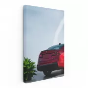 Acura TLX PMC Edition Parking - Sleek and Stylish Ride