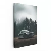 Acura TLX Amidst Forest Mist - Elegance in Motion